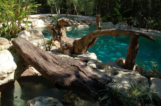 La Hacienda Cancun- El Ramonal, Monkey Sanctuary Otel Dış mekan fotoğraf